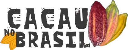 Logo Cacau no Brasil